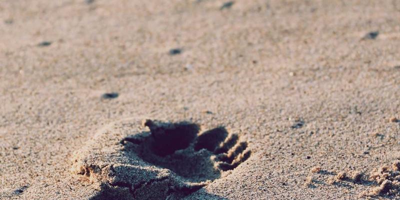 从7玛雅文字到时尚图腾:破译古老文明中的现代女装灵感密码