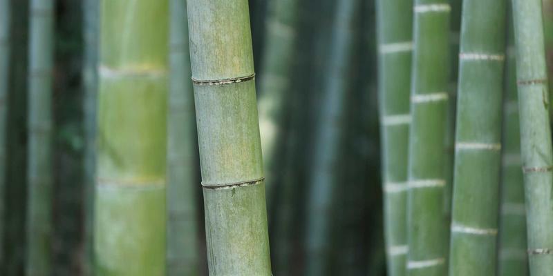 穿越灵视之门：玛雅萨满迷幻图腾如何重塑7玛雅数码印花女装的视觉革命